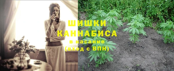 трава Балахна